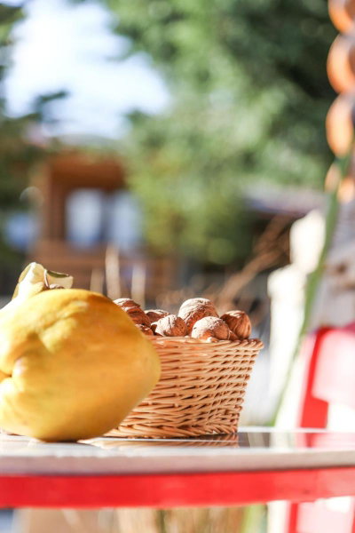 Orias Guesthouse & Farm, Kalavrita, Greece
