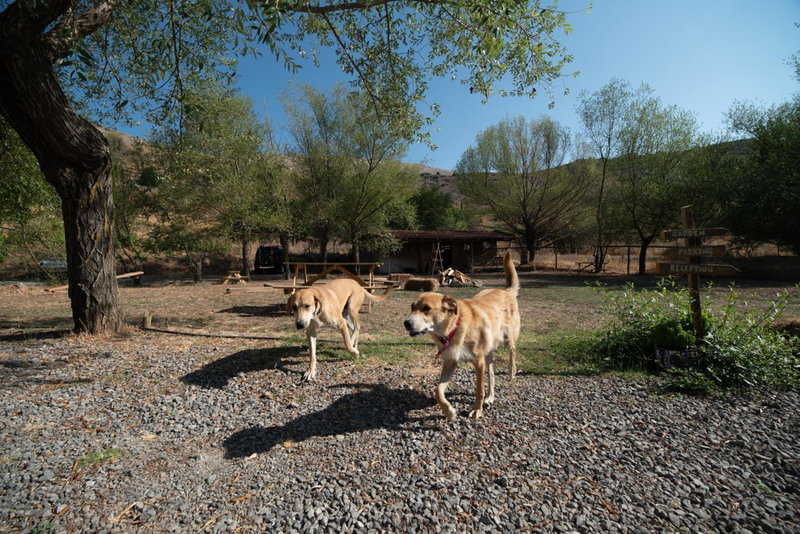 Orias Guesthouse & Farm, Kalavrita, Greece