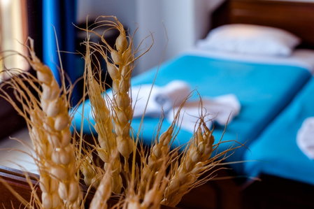Poco Loco Bed & Breakfast, Chania Town, Greece