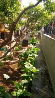 Villa George - Family Holidays, Nea Makri, Greece