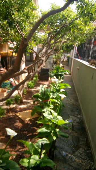 Villa George - Family Holidays, Nea Makri, Greece