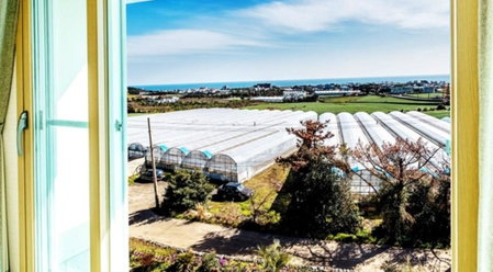 Villamerci, Seogwipo, South Korea