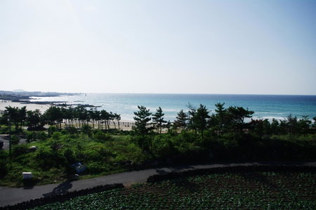 오후여섯시펜션, Jeju, South Korea