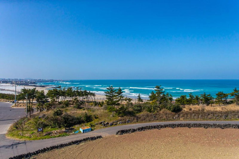 오후여섯시펜션, Jeju, South Korea