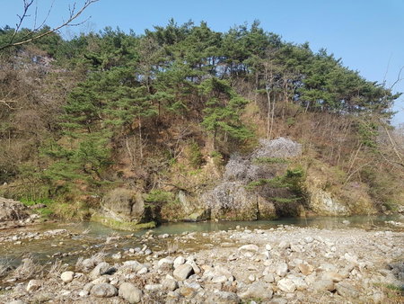 Namwon Hotel, Namwon, South Korea