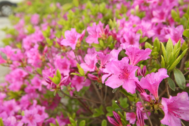 Namwon Hotel, Namwon, South Korea