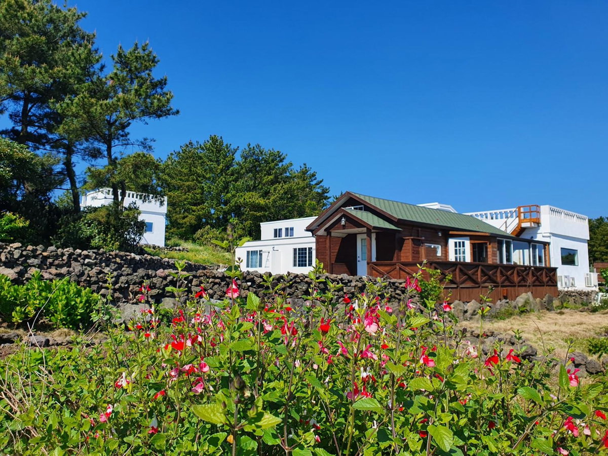 Hotel · Contain Jeju-Darangswi, Jeju