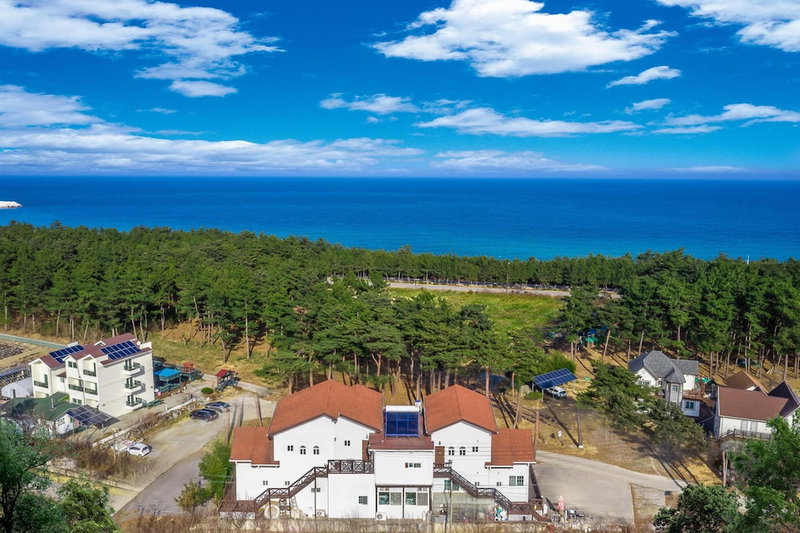 The Gangneung Foret Pension, Gangneung, South Korea