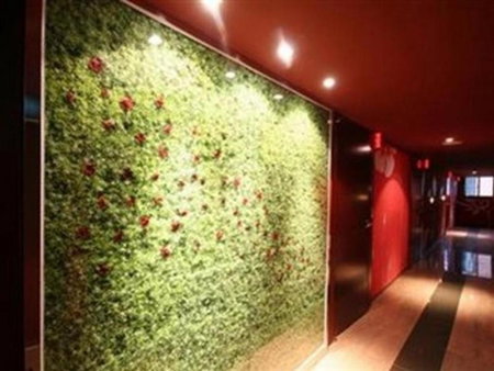 Fox Hotel, Seoul, South Korea