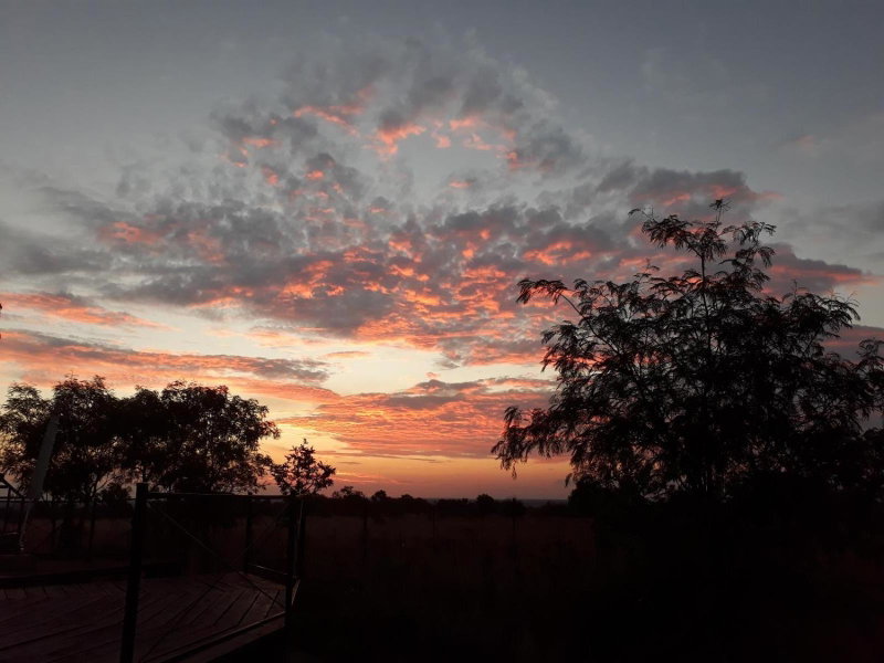 Nyani Lodge Dinokeng, Pretoria, South Africa