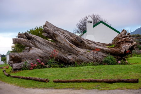Honeyrock Cottages, Kleinmond, South Africa