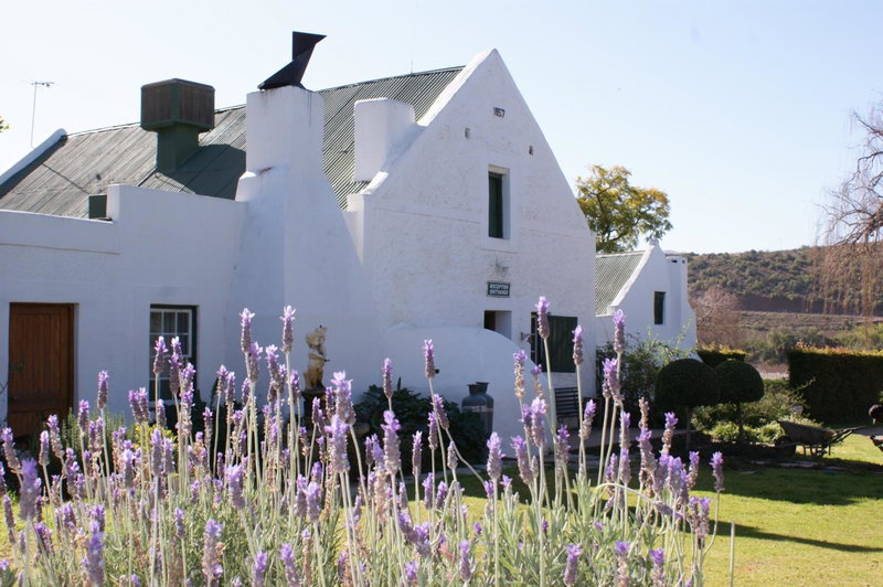 Oue Werf Country House, Oudtshoorn, South Africa