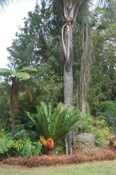 Nita's Air Bed & Breakfast & self catering, Crocodile Valley Estates, South Africa