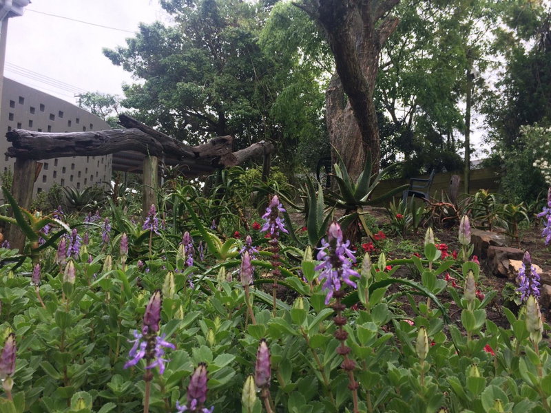 30 on Oatlands Accommodation Makhanda Grahamstown, Grahamstown, South Africa