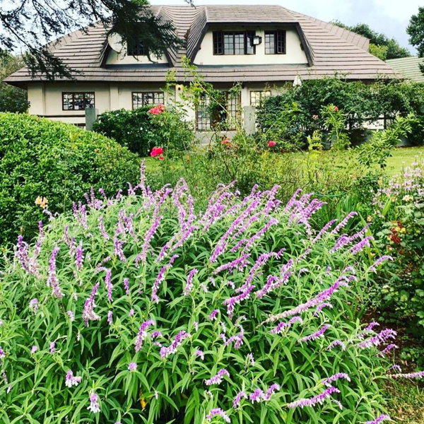 Beverley Country Cottages, Dargle, South Africa