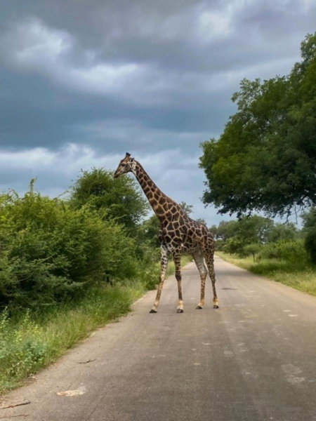 Kruger Bush Retreat, Marloth Park, South Africa
