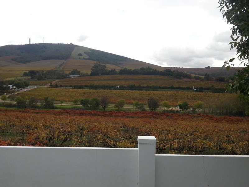 D'Aria Guest Cottages, Durbanville, South Africa