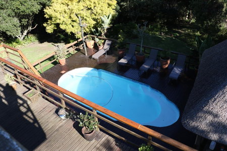 Allan Grove, Knysna, South Africa