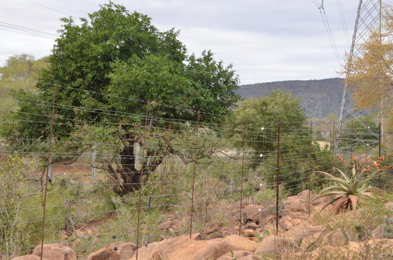 Stoep At Steenbok Self Catering, Komatipoort, South Africa