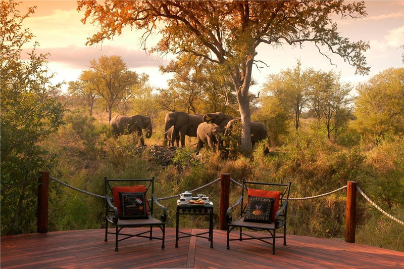 Hoyo Hoyo Safari Lodge, Mluwati Concession, South Africa
