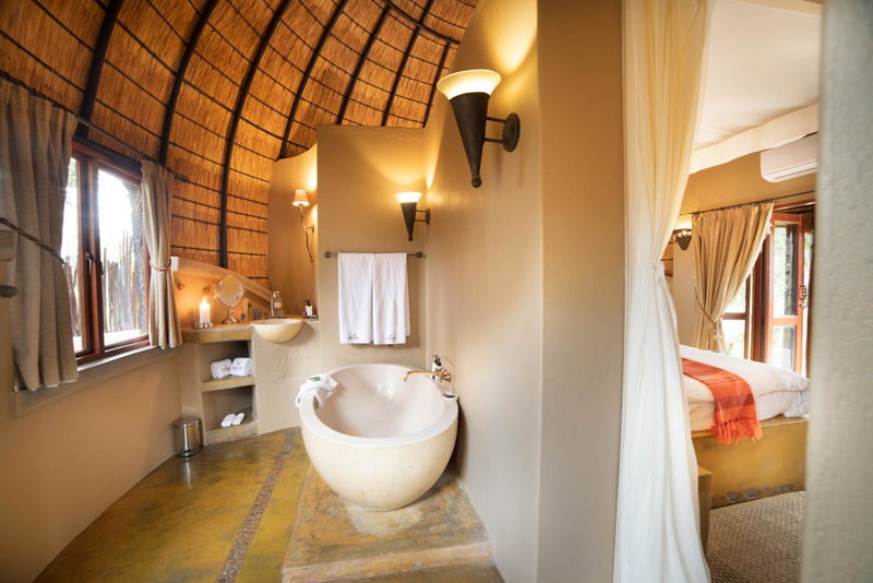 Hoyo Hoyo Safari Lodge, Mluwati Concession, South Africa