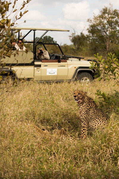 Hoyo Hoyo Safari Lodge, Mluwati Concession, South Africa