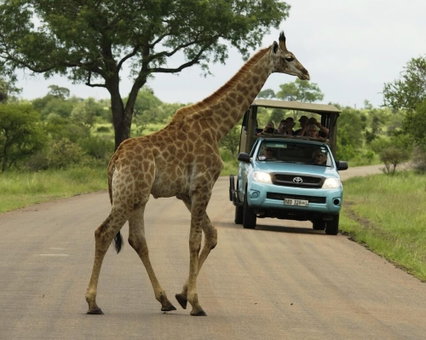 Kubu Safari Lodge, Hoedspruit, South Africa