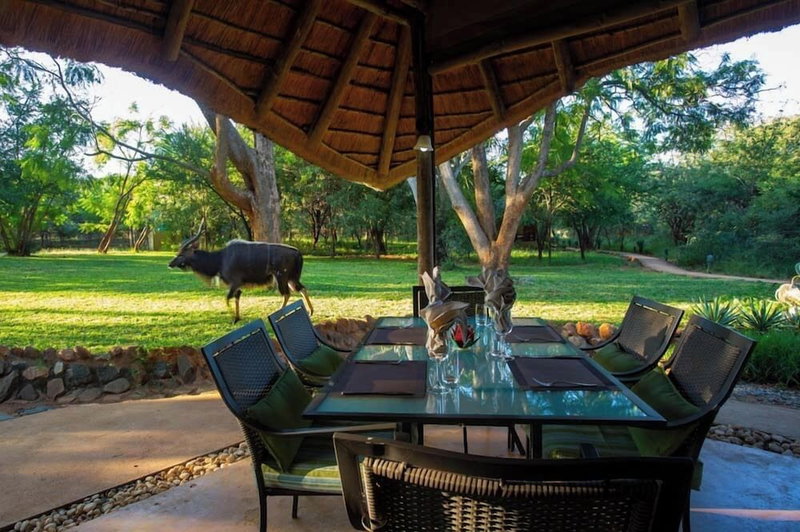 Kubu Safari Lodge, Hoedspruit, South Africa
