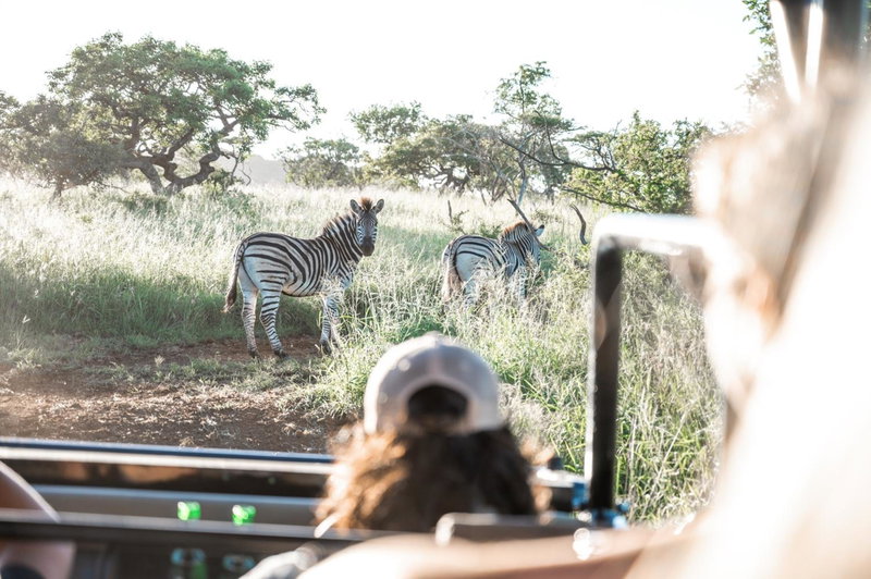 Duiker Game Lodge, Hluhluwe, South Africa