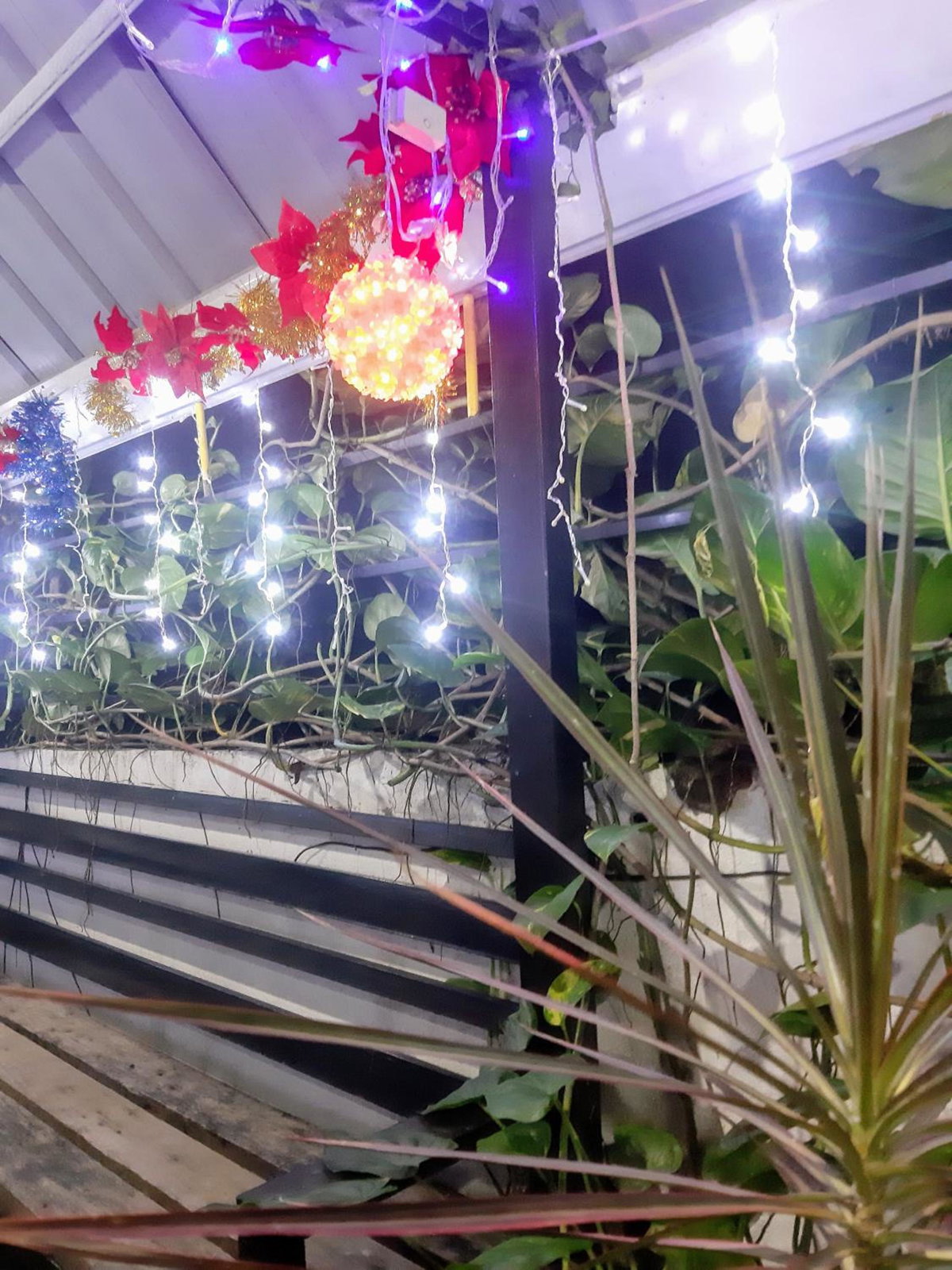 Casa Erelle -1 Bedroom guest house w/ modern kubo, Philippines