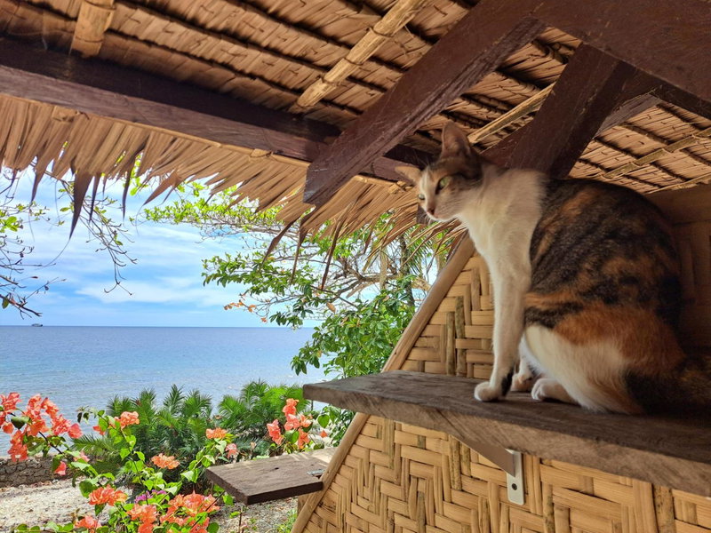 Paseo Del Mar Seaside Inn, Jagna, Philippines