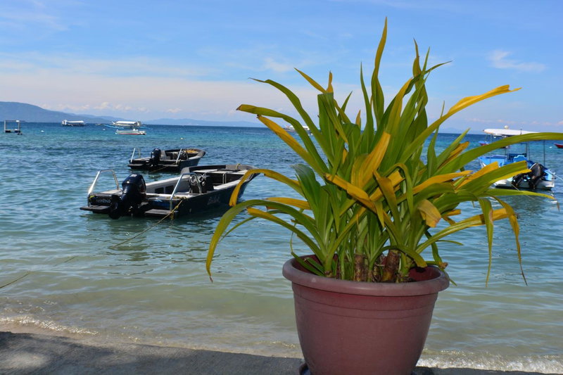 Captngreggs Dive Resort, Puerto Galera, Philippines