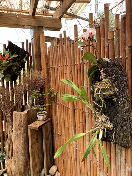Jia's Homestay, Lugu, Taiwan