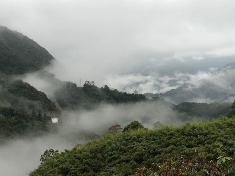 Cingjing Morning Star, Renai, Taiwan