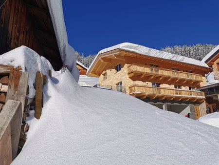 Naturhaus Gehren, Steeg, Austria