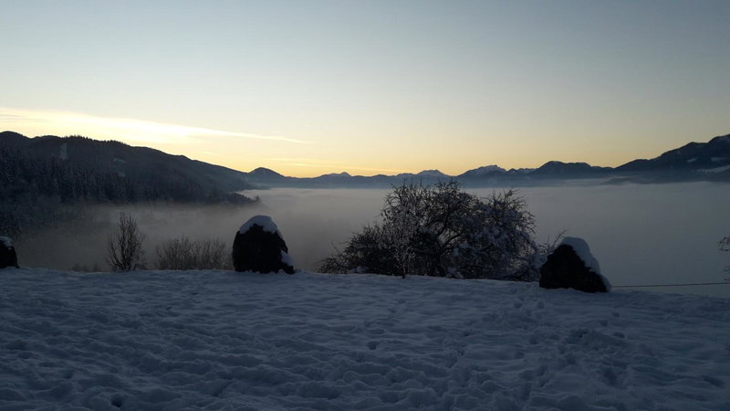 GamserlAlm Fam. Feichtenhofer, Turnau, Austria