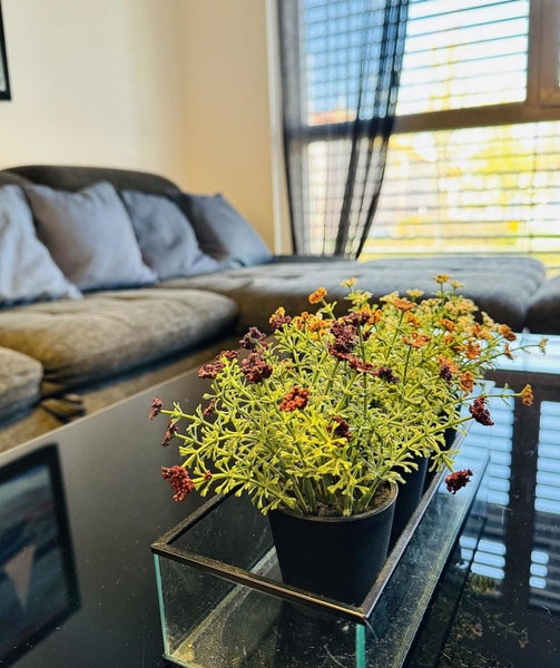 Brand New Apartment, Top Location-Near VIC/Danube, Vienna, Austria