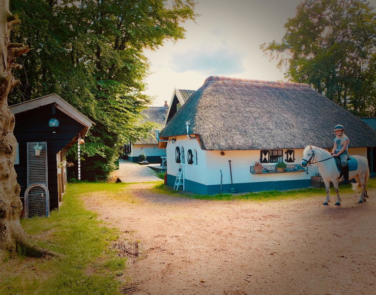Bakhuisje op de Veluwe, Heerde, The Netherlands