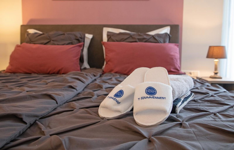 BnB 't Kraaiennest, De Cocksdorp, The Netherlands