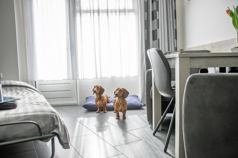 BnB 't Kraaiennest, De Cocksdorp, The Netherlands
