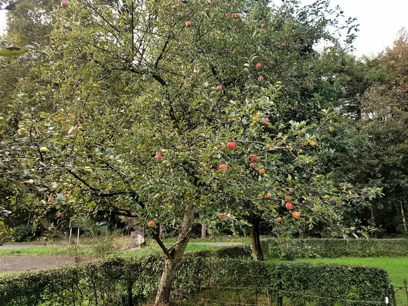 B&B de Panheide, Hooghalen, The Netherlands