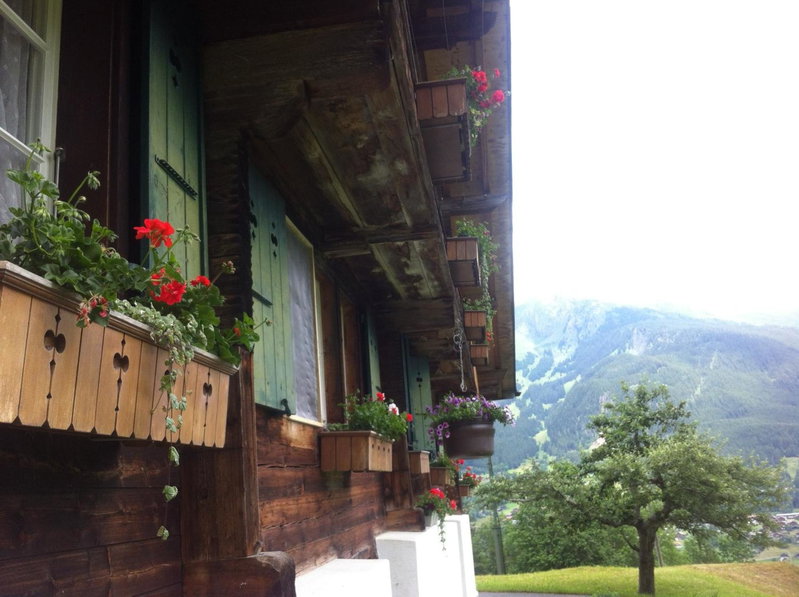 Ferienwohnung im Grünen, Grindelwald, Switzerland