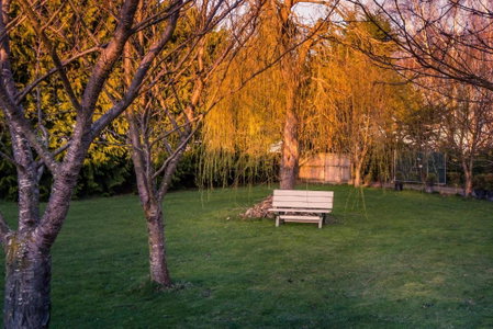 Cavendish Farm, Kaiapoi, New Zealand