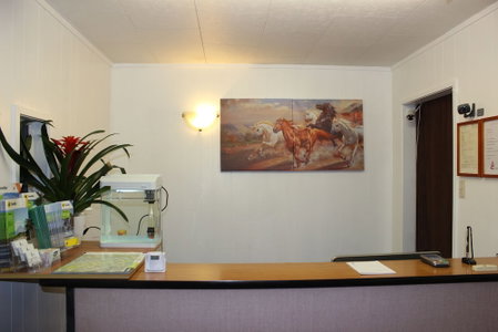 Cedar Lodge Motel Hamilton, Hamilton, New Zealand