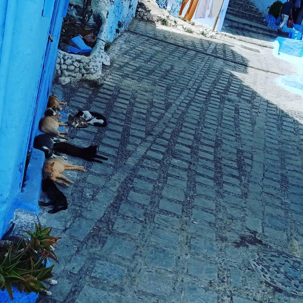 Casa Mablu, Chefchaouene, Morocco