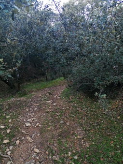 Tamanoucht, Ifrane, Morocco