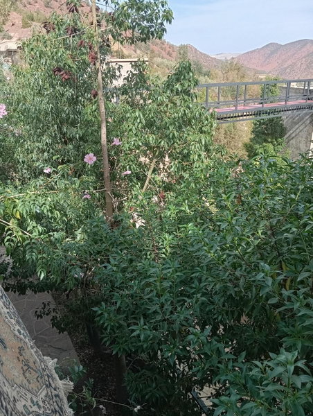 Dar Soulaimane, Marrakech, Morocco