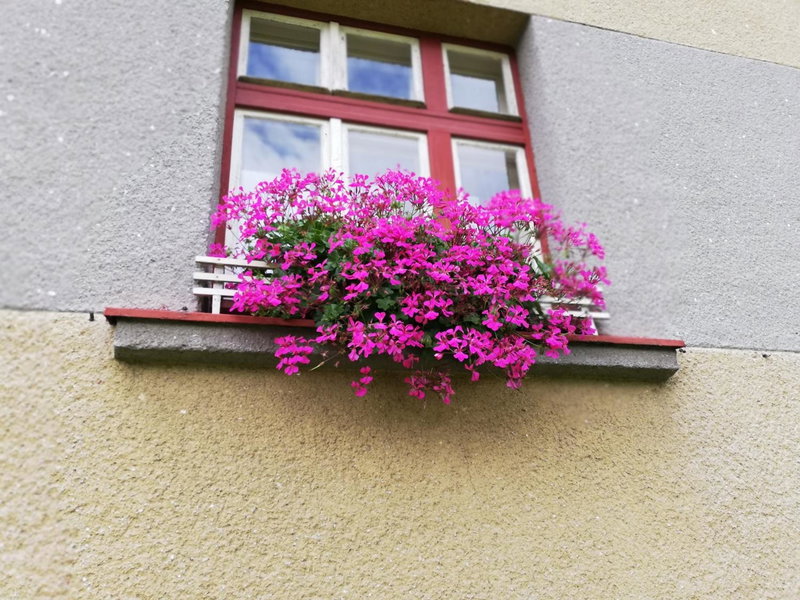 Villa Oliva, Český Krumlov, Czechia