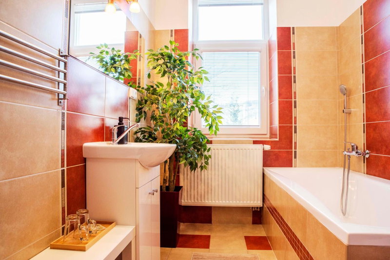 Apartmán u Horynů - Sadová, Česká Třebová, Czechia