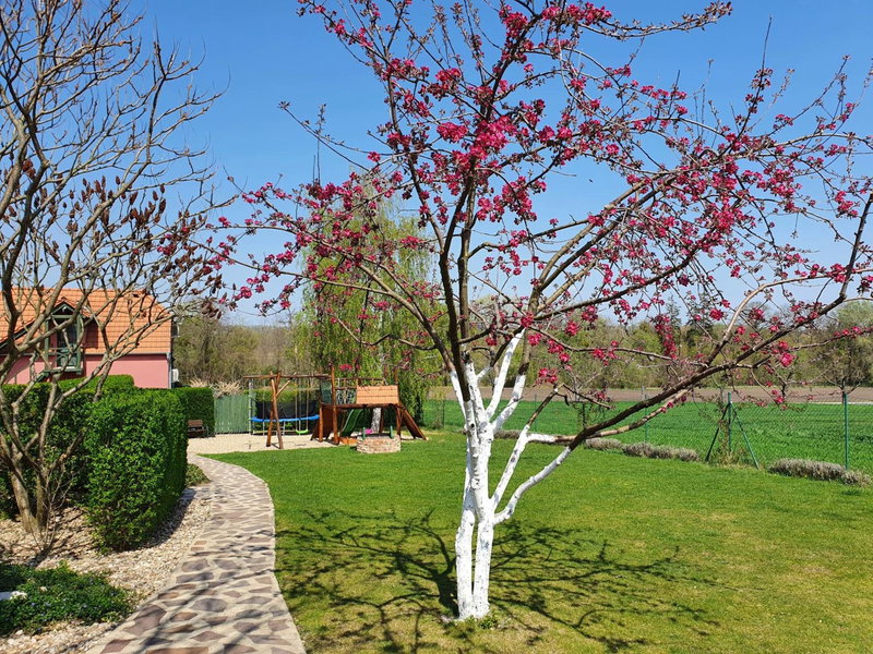 Penzion Na Lednické, Hlohovec, Czechia
